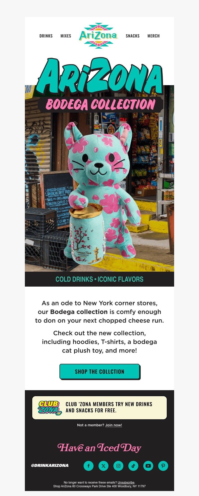 Screenshot of email with subject /media/emails/f477a482-b3de-4cbe-8fd5-dec291ff0ff1.jpg