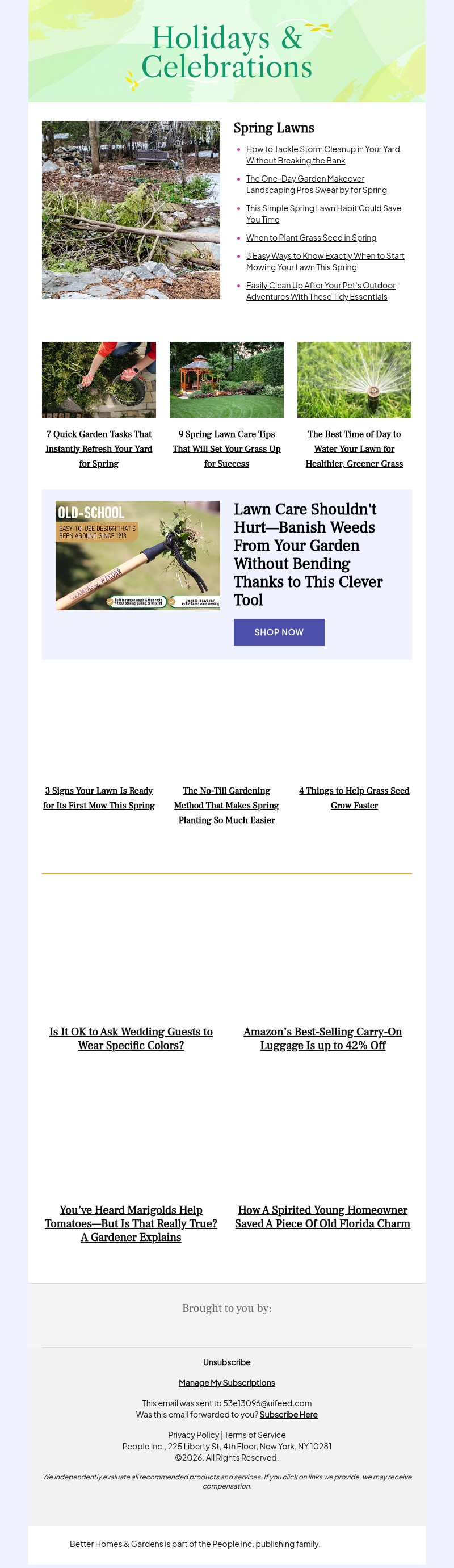 Screenshot of email with subject /media/emails/f506723d-ca65-41b9-a302-5003b0b64a62.jpg