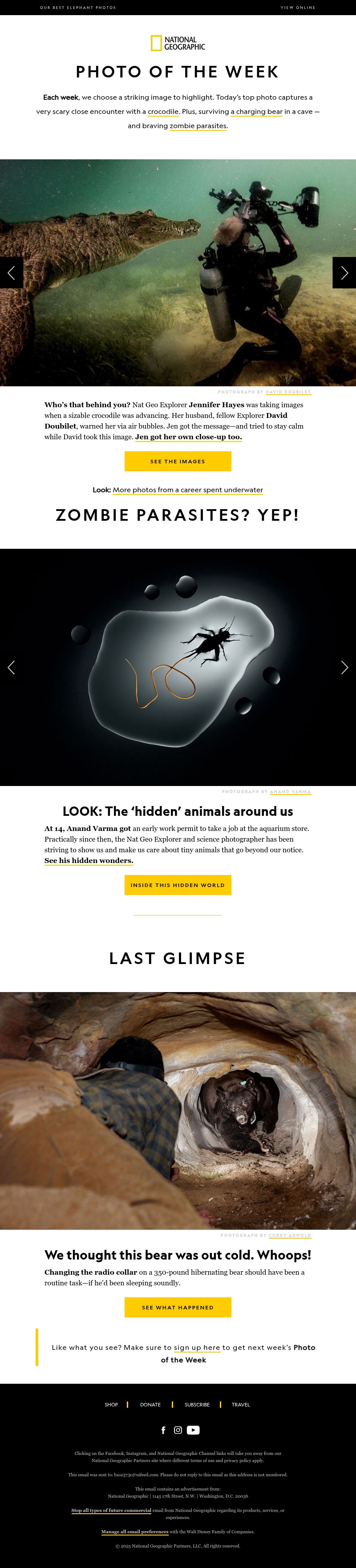 Screenshot of email with subject /media/emails/f59abeeb-a99b-4e39-8d6d-cc3870c76f04.jpg