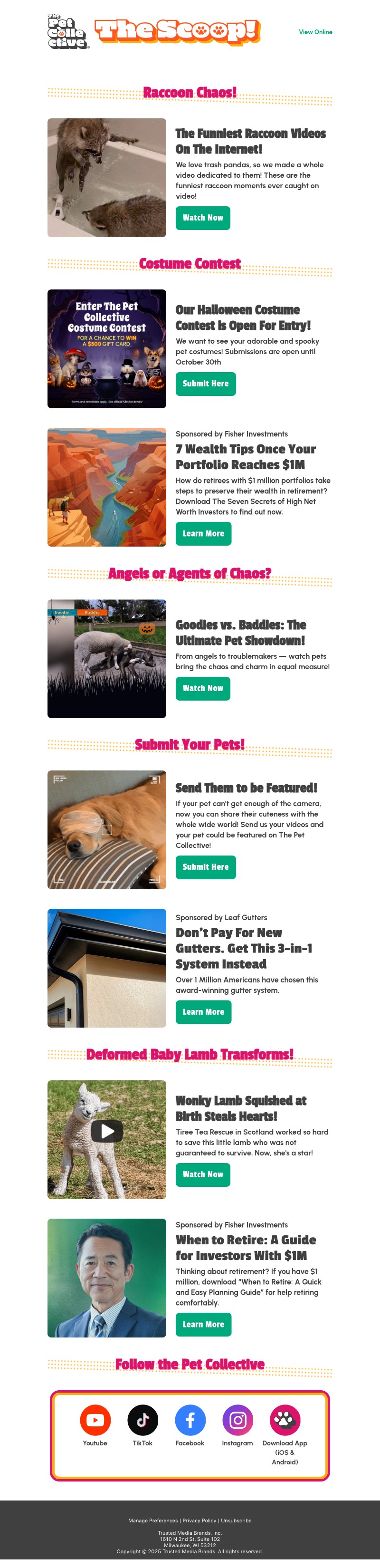 Screenshot of email with subject /media/emails/f642e717-068e-48e9-a5a3-44816a878637.jpg