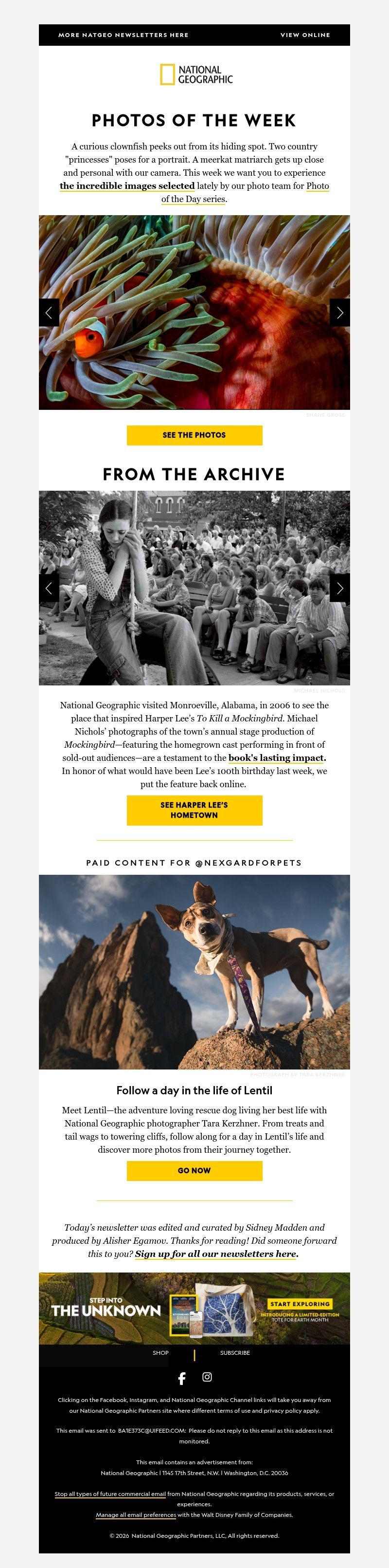 Screenshot of email with subject /media/emails/f68cb259-bb82-41e0-afd1-bc7557e52618.jpg