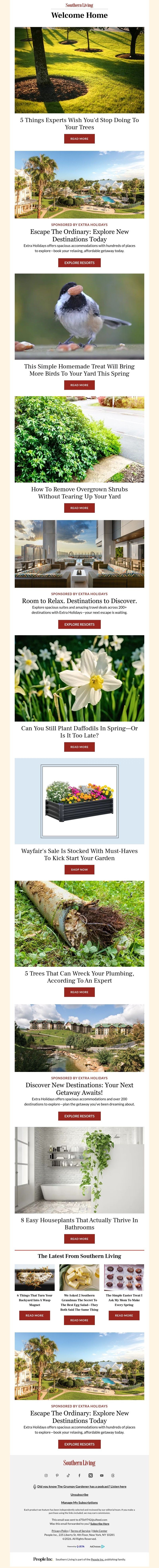 Screenshot of email with subject /media/emails/f6a86967-0b29-40d9-bfbd-f63e666b2839.jpg