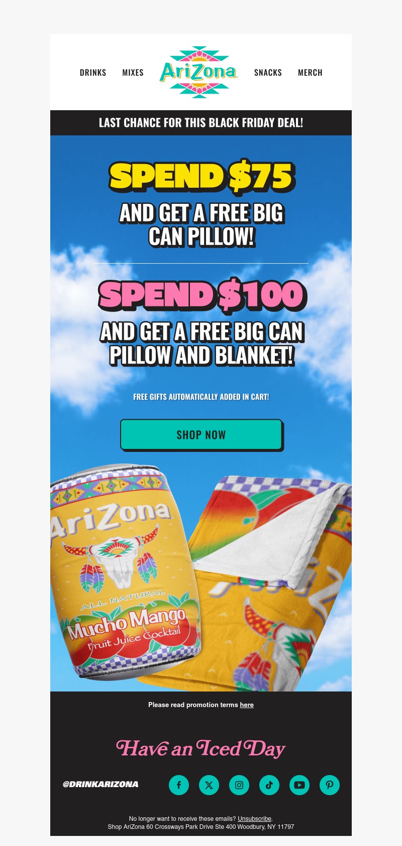 Screenshot of email with subject /media/emails/f6ca815f-a69e-400b-83a4-4da3a1bed6e5.jpg