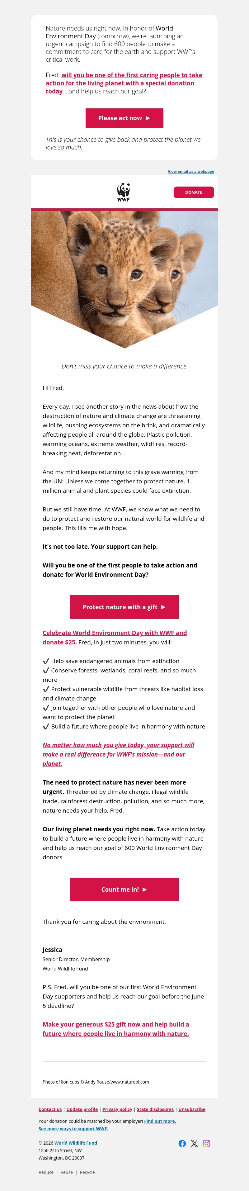 Screenshot of email with subject /media/emails/f6de8fae-9ad6-45b6-90cb-258f0dff06bc.jpg