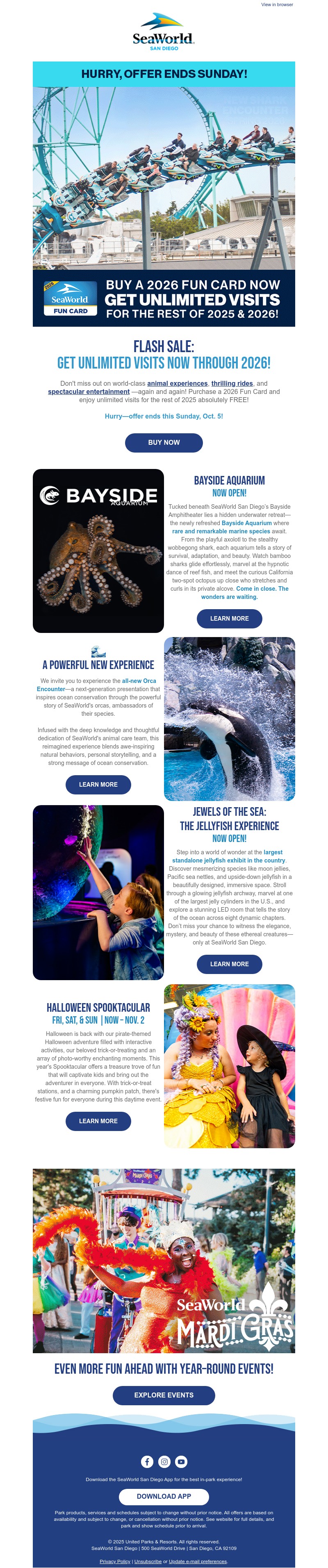 Screenshot of email with subject /media/emails/f74583b5-7d7d-484b-9ff5-53b332cbbc8d.jpg
