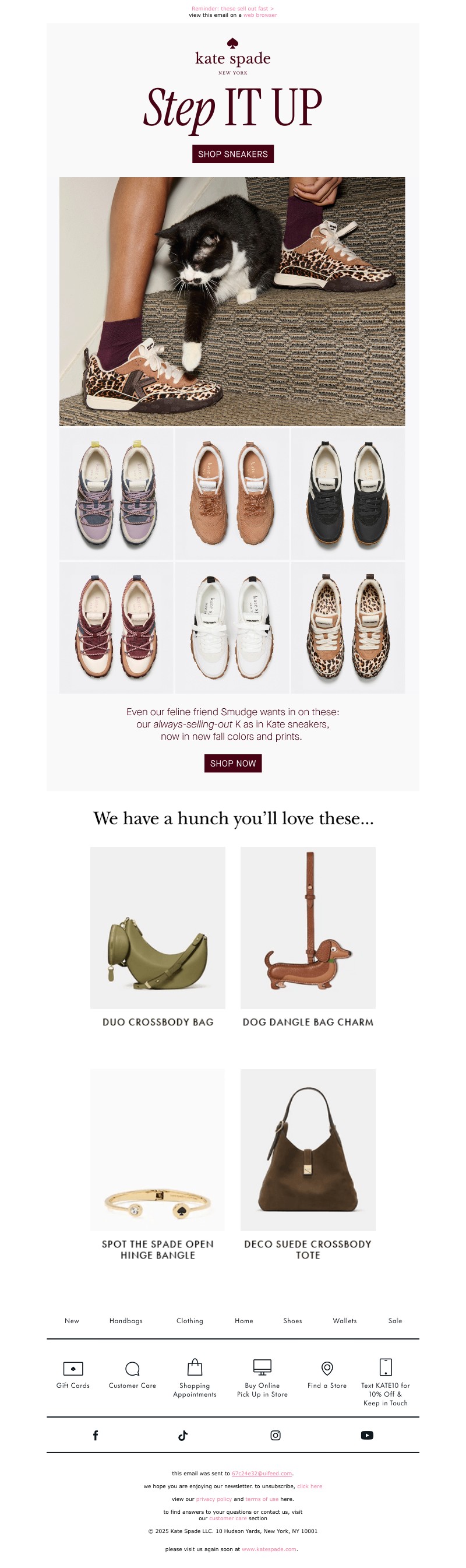 Screenshot of email with subject /media/emails/f7523130-6e6d-48bd-af77-4567c9a5385d.jpg