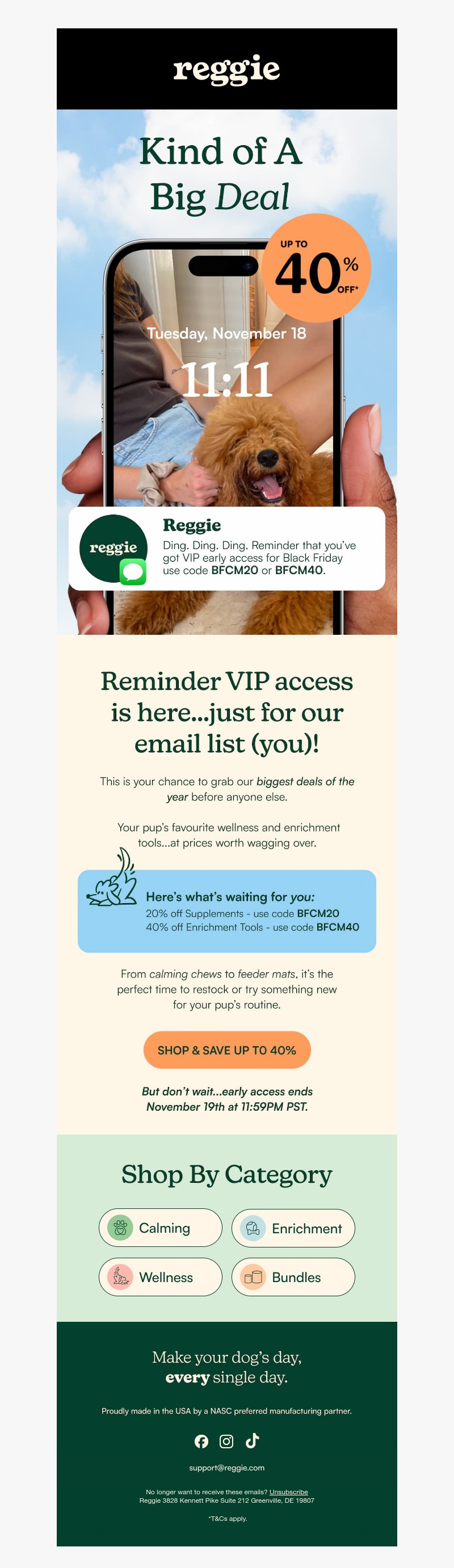 Screenshot of email with subject /media/emails/f80b9677-f9cd-4000-9149-9c046941e2af.jpg