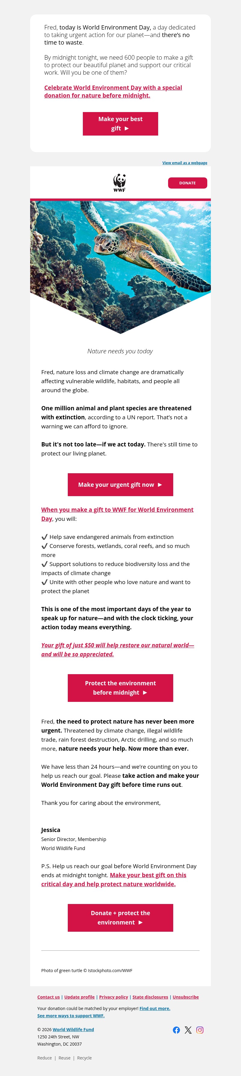 Screenshot of email with subject /media/emails/f8918c45-8ed9-415f-936c-b04bc55bc35f.jpg