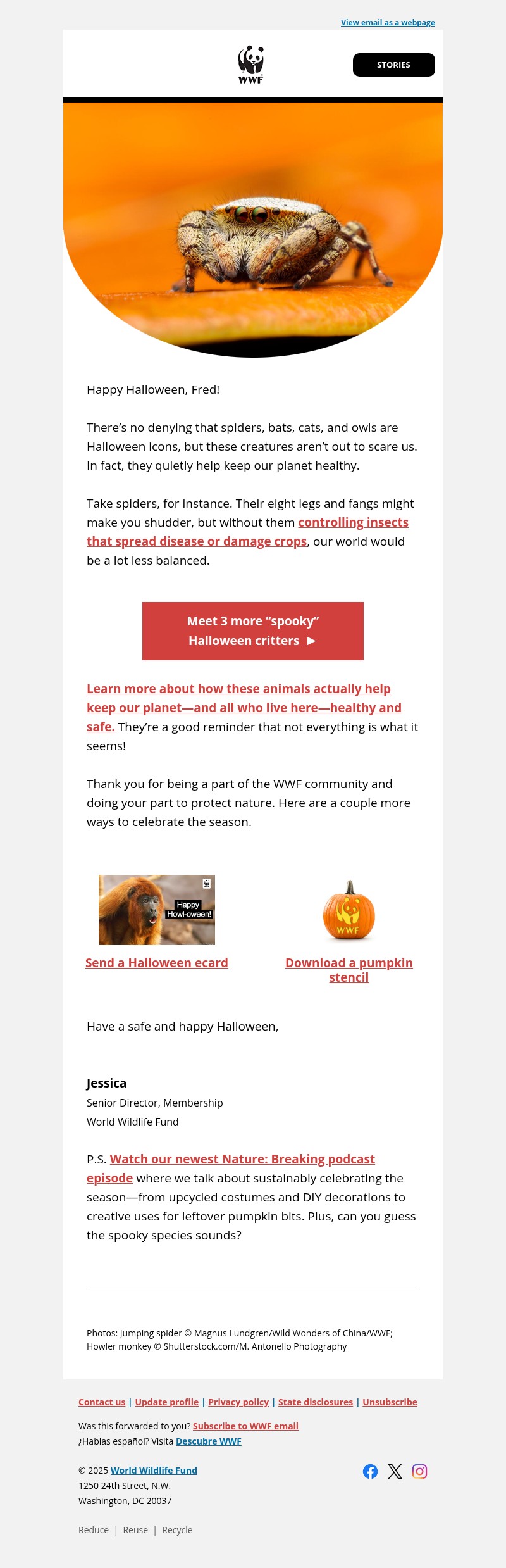 Screenshot of email with subject /media/emails/f8d05708-d20b-4aee-be66-2623221e2dbc.jpg