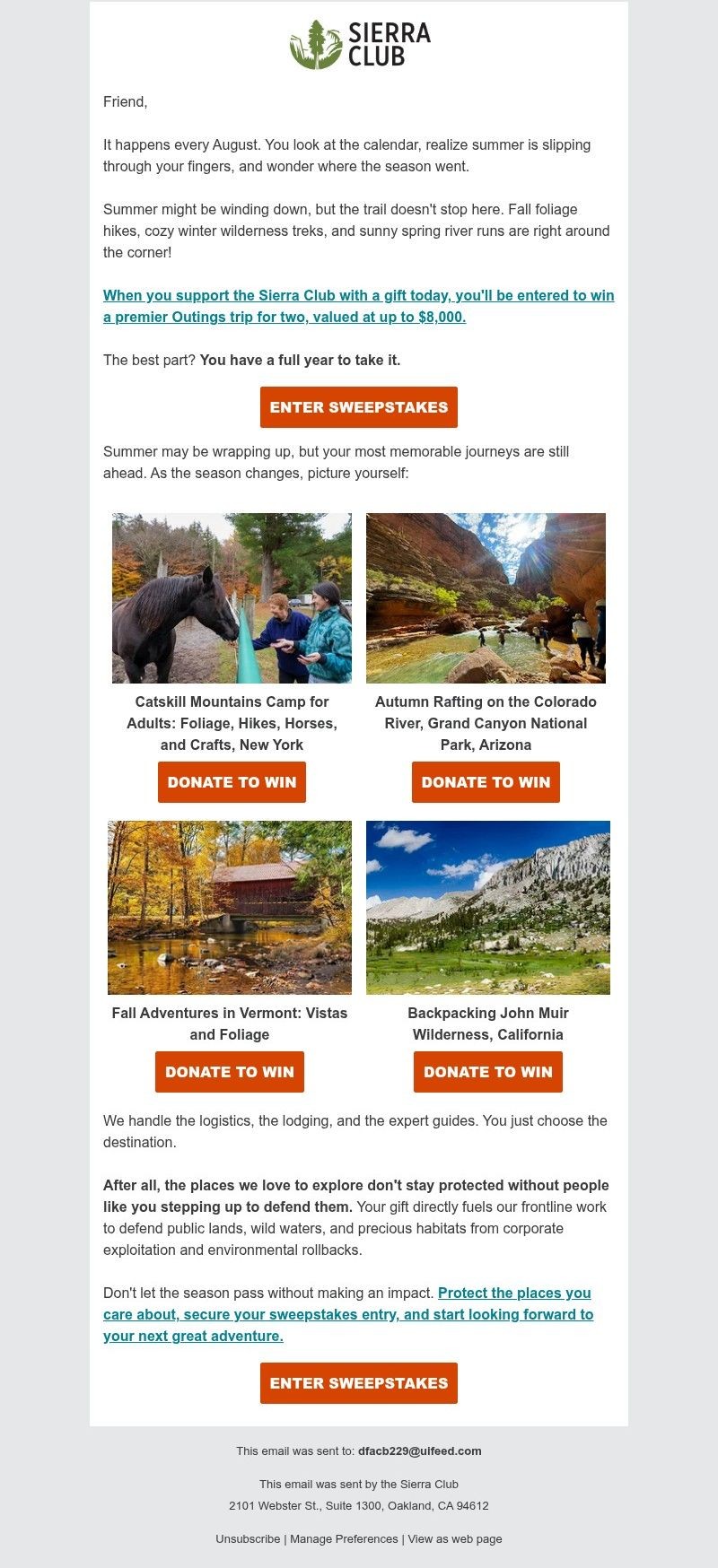 Screenshot of email with subject /media/emails/f8d6934a-136d-4f86-acea-1ba0786034bb.jpg
