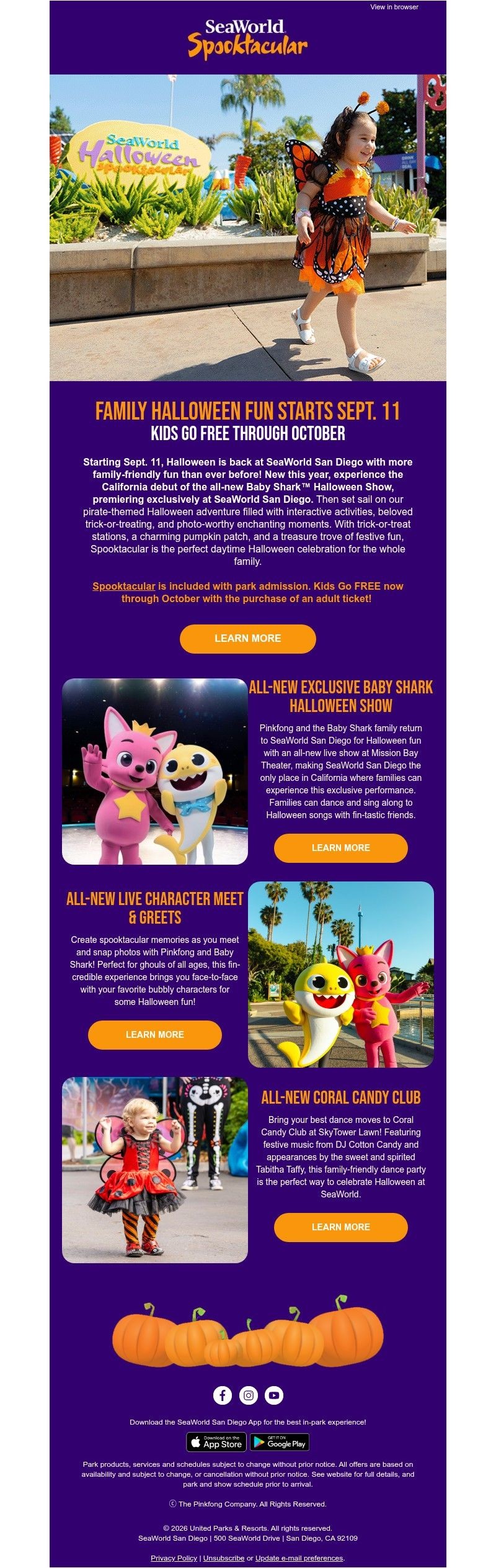 Screenshot of email with subject /media/emails/f975fd0f-db6d-4eb1-ac88-c568449e1062.jpg