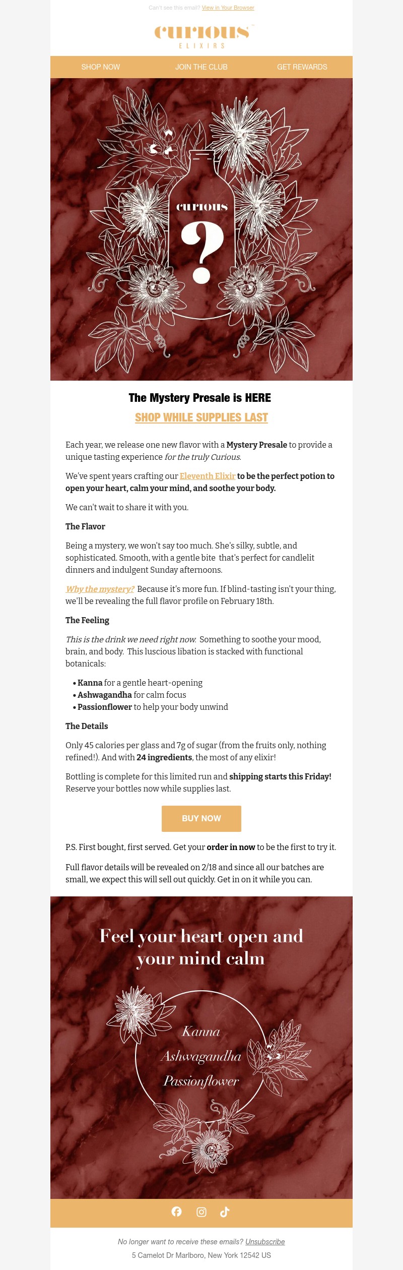 Screenshot of email with subject /media/emails/f9d558df-7d25-4eaa-8f76-3691b7f6ec66.jpg