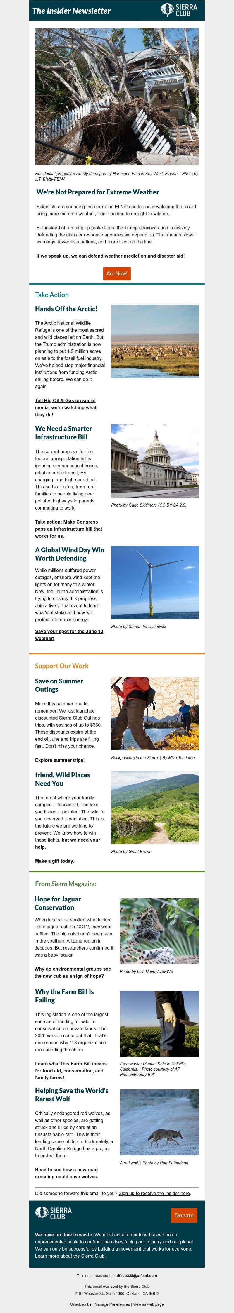 Screenshot of email with subject /media/emails/fa40c5ab-7453-477e-b5b5-3122ac8d495c.jpg