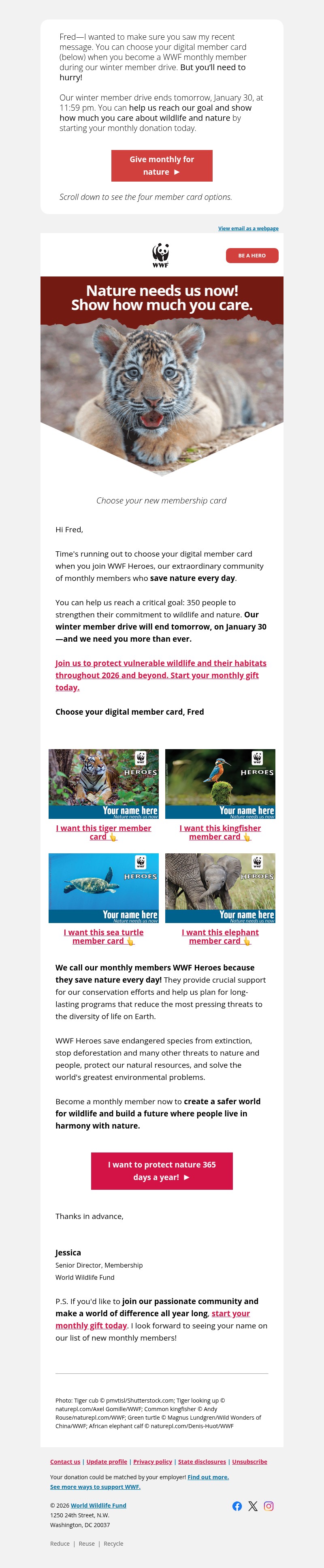 Screenshot of email with subject /media/emails/fa497d7c-0933-4f24-b3e3-b88b4297200d.jpg