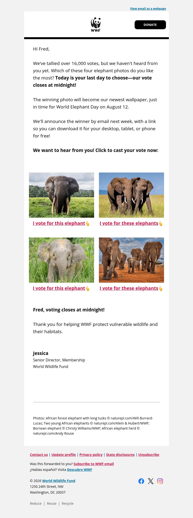 Screenshot of email with subject /media/emails/fa8336ba-04cd-4ed0-a4c5-a9a42f3a744f.jpg