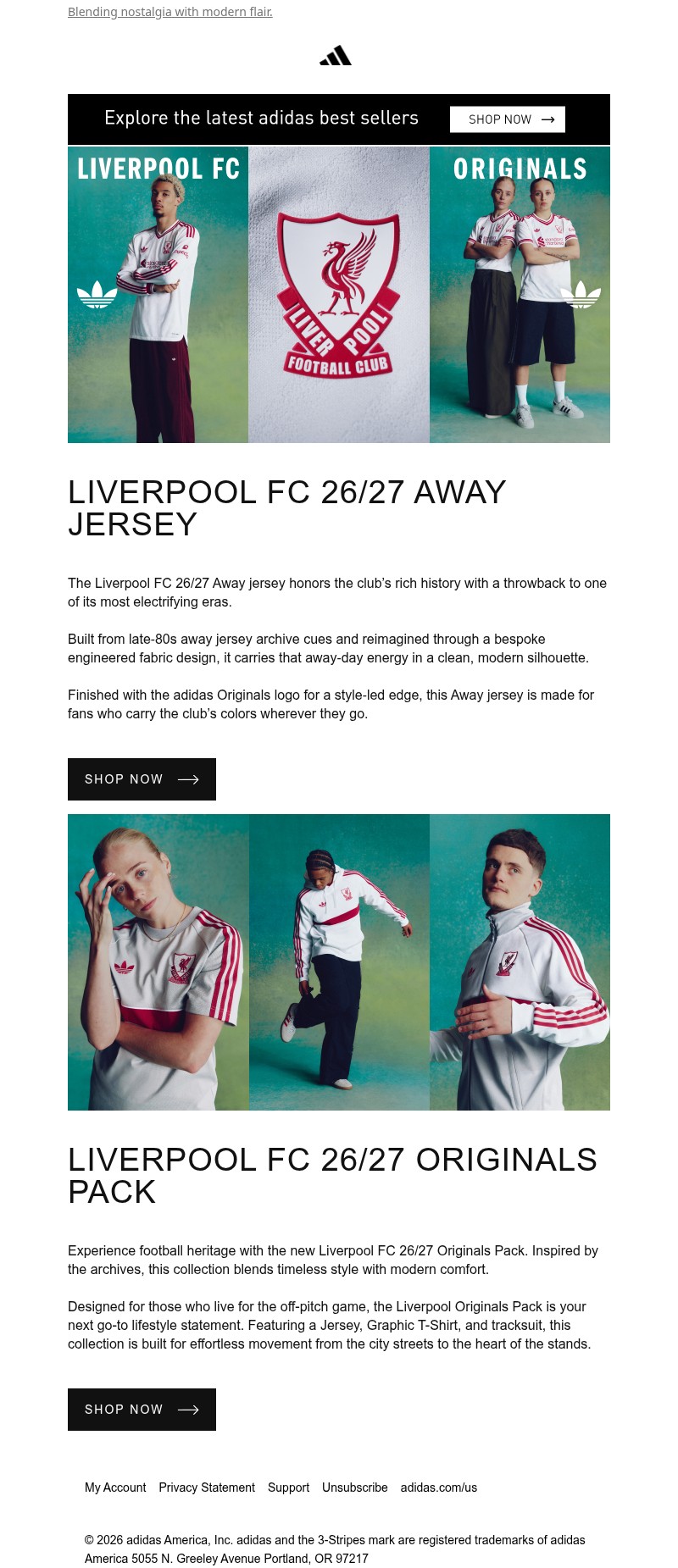 Screenshot of email with subject /media/emails/fac4f3d7-fad8-4745-850e-6e80e3f14c30.jpg