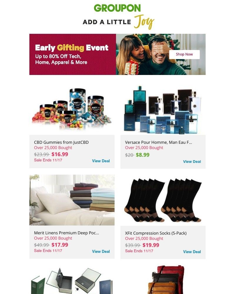 Screenshot of email with subject /media/emails/fact-its-never-too-early-to-grab-great-doorbusters-11b8ef-cropped-802e1fa6.jpg