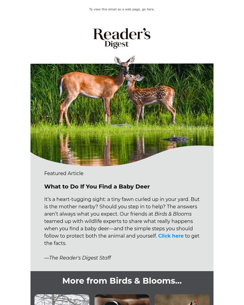 Screenshot of email with subject /media/emails/fact-vs-fiction-about-fawns-19c2ad-cropped-c0a099eb.jpg