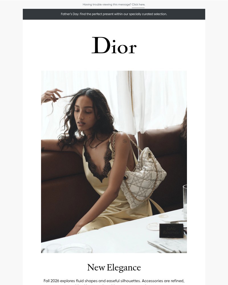 Screenshot of email sent to a Dior Newsletter subscriber