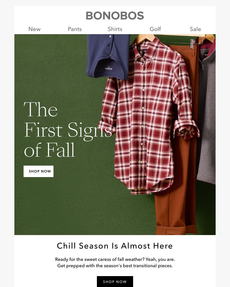 Screenshot of email with subject /media/emails/fall-arrivals-change-things-up-for-chill-season-1ae579-cropped-d4b46655.jpg