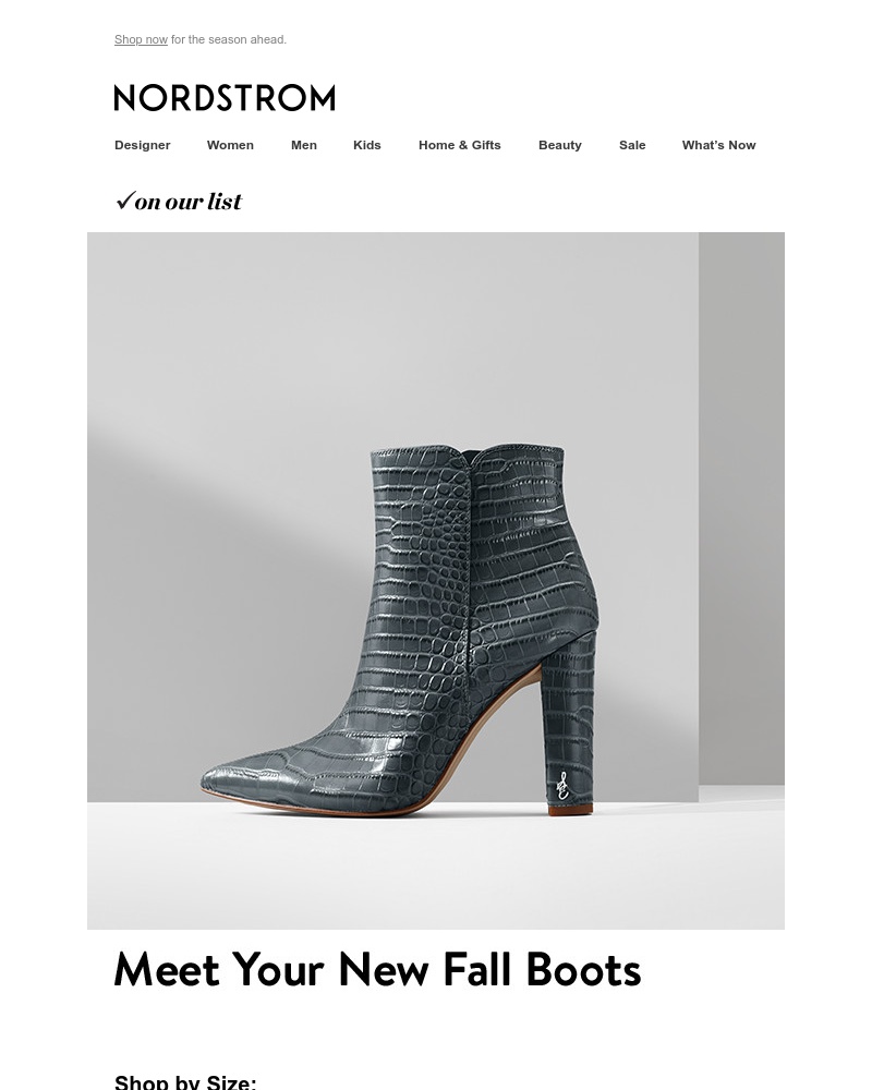 Screenshot of email with subject /media/emails/fall-boots-and-booties-in-your-size-cropped-9b8be4df.jpg