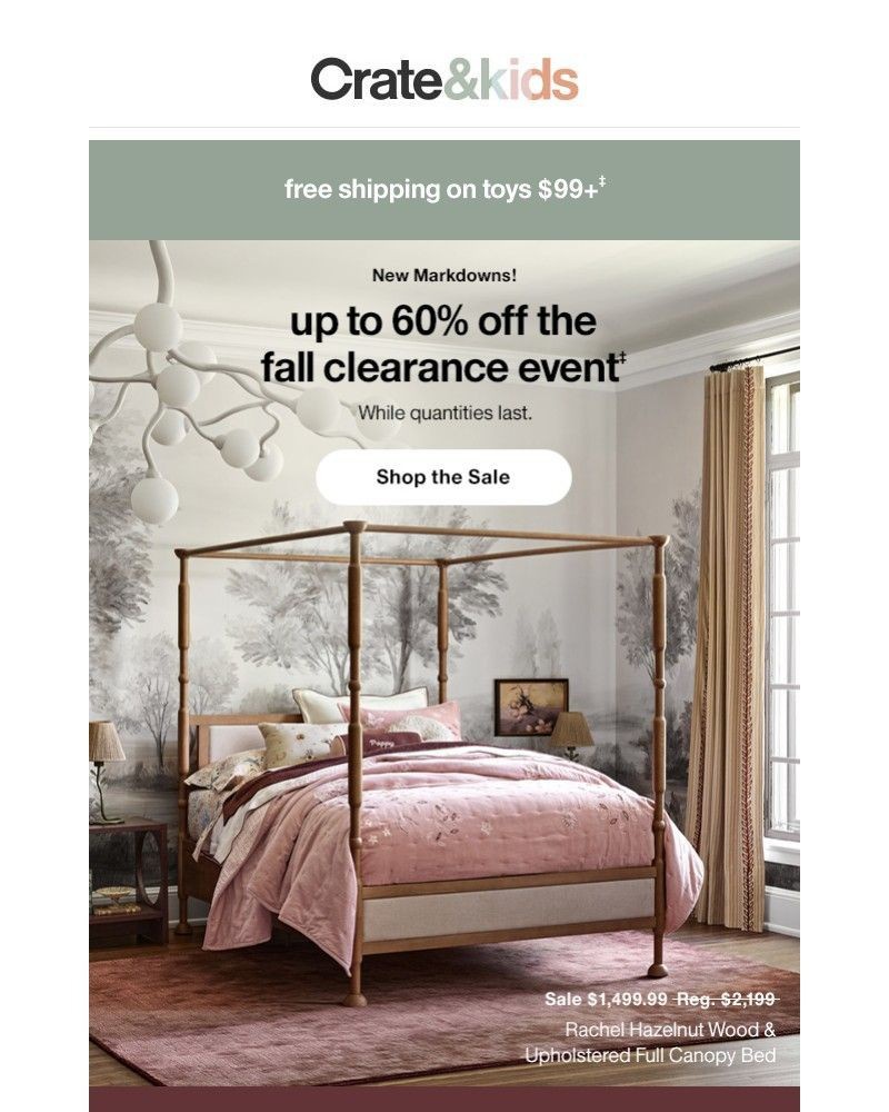 Screenshot of email with subject /media/emails/fall-clearance-is-on-up-to-60-off-dd56a4-cropped-4ed5d793.jpg