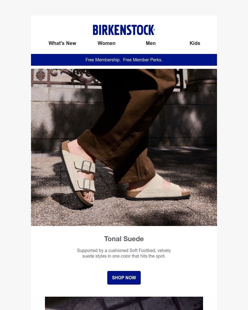 Screenshot of email with subject /media/emails/fall-color-all-over-its-tonal-suede-c48da7-cropped-26451828.jpg