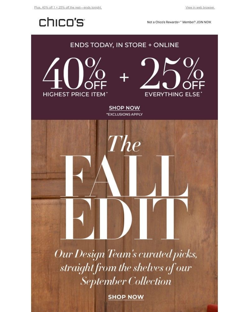 Screenshot of email with subject /media/emails/fall-edit-curated-by-our-design-team-45cc78-cropped-fa3479ac.jpg