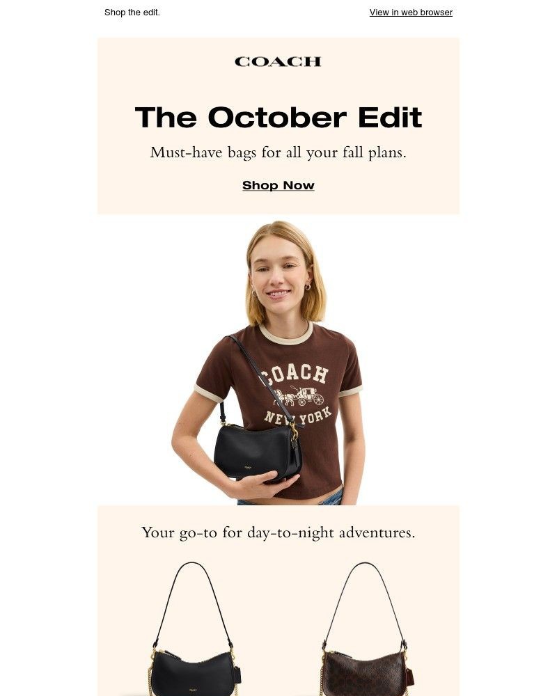 Screenshot of email with subject /media/emails/fall-favorites-are-in-1db3e4-cropped-70776dcb.jpg