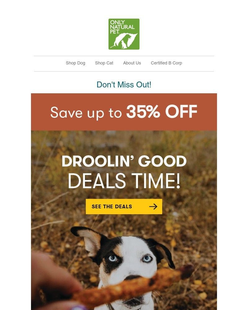 Screenshot of email with subject /media/emails/fall-favorites-up-to-35-off-f28a2e-cropped-ded201d9.jpg