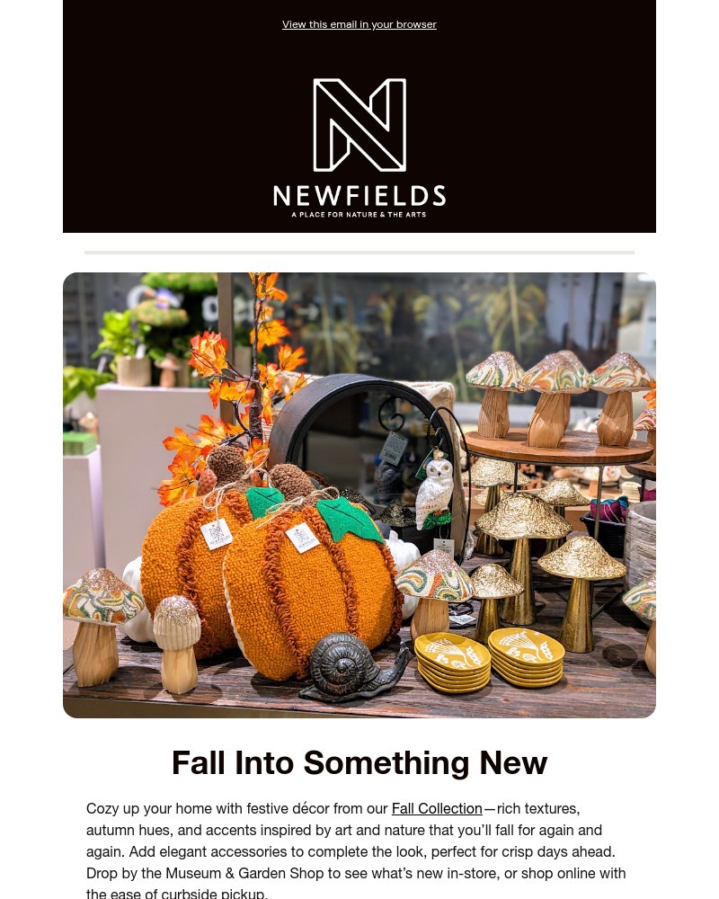 Screenshot of email with subject /media/emails/fall-finds-await-at-the-museum-garden-shop-74c6d8-cropped-1a13d95d.jpg