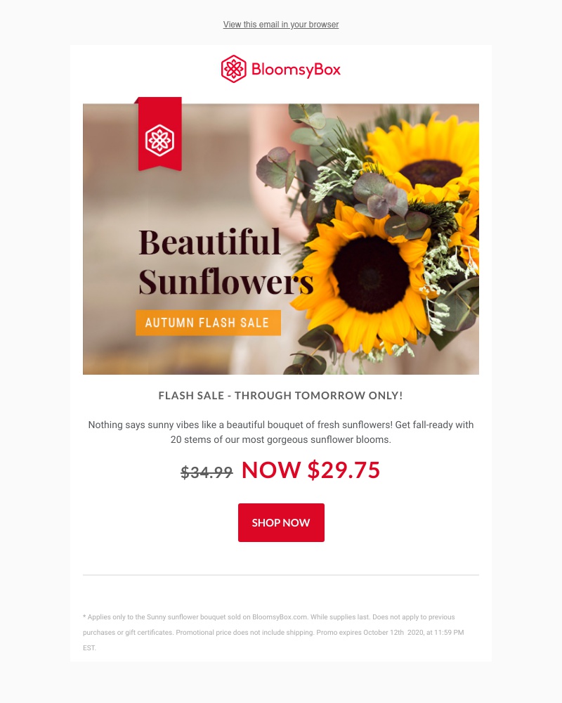 Screenshot of email with subject /media/emails/fall-flash-sale-4d743b-cropped-5d33da63.jpg