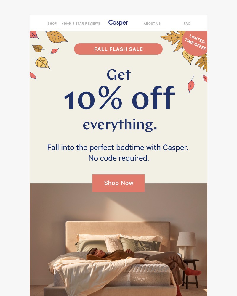 Screenshot of email with subject /media/emails/fall-flash-sale-get-10-off-everything-f1955f-cropped-942d2f8f.jpg
