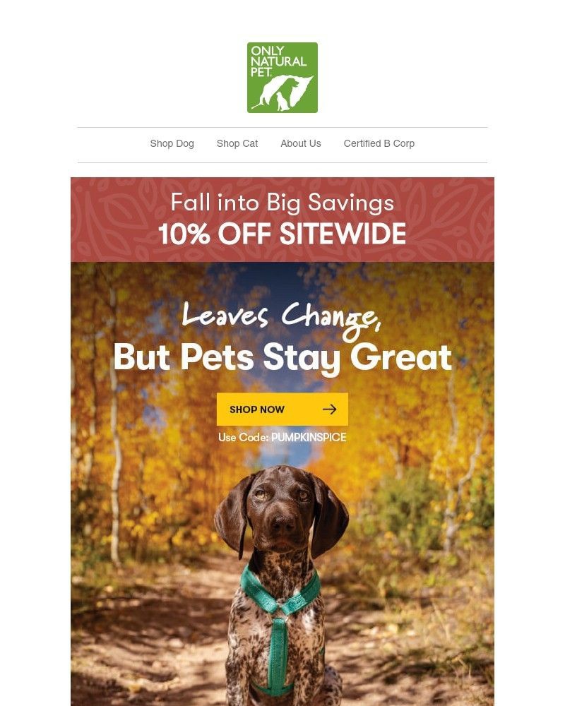 Screenshot of email with subject /media/emails/fall-for-10-off-everything-efe8b1-cropped-8e437a08.jpg