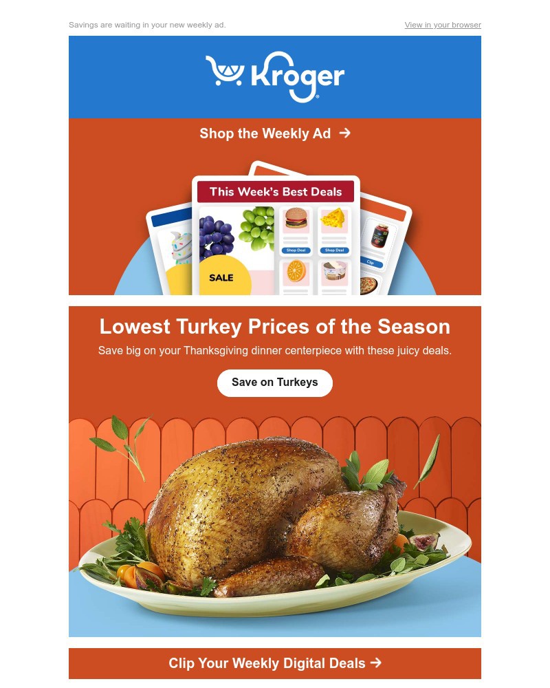 Screenshot of email with subject /media/emails/fall-for-these-weekly-ad-deals-shop-low-turkey-prices-99-sale-e3bdb3-cropped-64a2904e.jpg