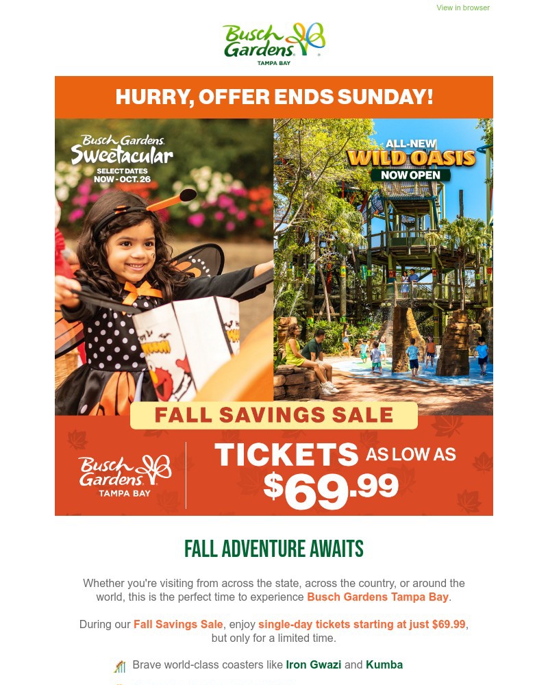 Screenshot of email with subject /media/emails/fall-fun-get-tickets-as-low-as-6999-ends-sunday-4d521e-cropped-c07125d6.jpg