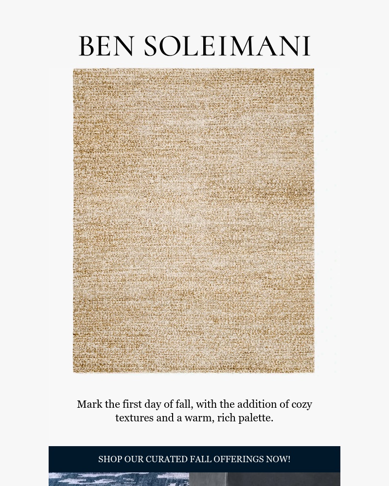 Screenshot of email with subject /media/emails/fall-inspired-rugs-furniture-and-decor-7f7ac6-cropped-f513857e.jpg