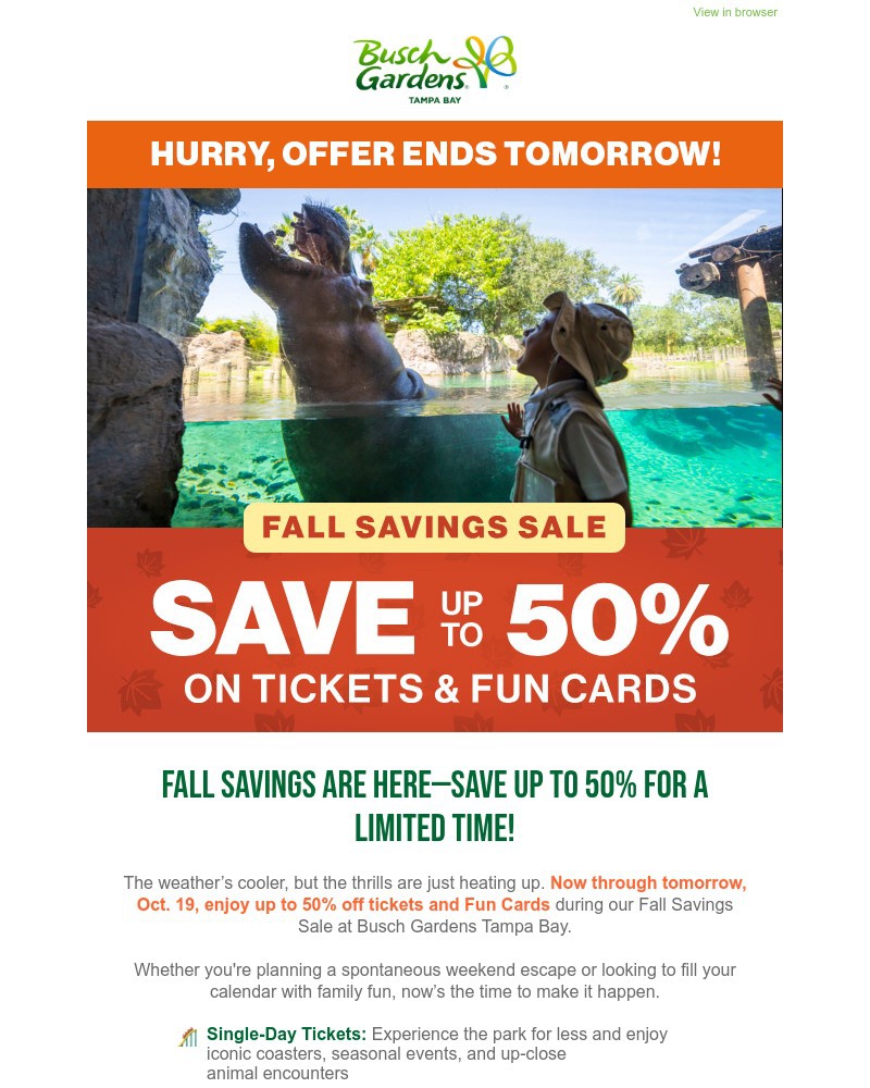 Screenshot of email with subject /media/emails/fall-into-big-savingsup-to-50-off-tickets-and-fun-cards-9a831c-cropped-2557a8df.jpg