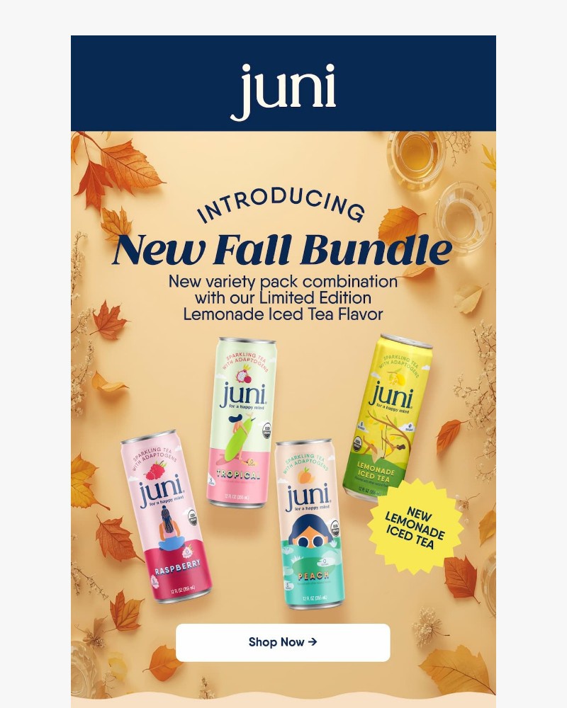 Screenshot of email with subject /media/emails/fall-into-focus-limited-edition-juni-variety-pack-is-here-3af53c-cropped-ef2369f8.jpg