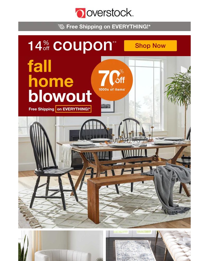 Screenshot of email with subject /media/emails/fall-into-savings-claim-14-off-our-coziest-finds-carve-out-some-time-to-shop-64ca_LmIHV51.jpg