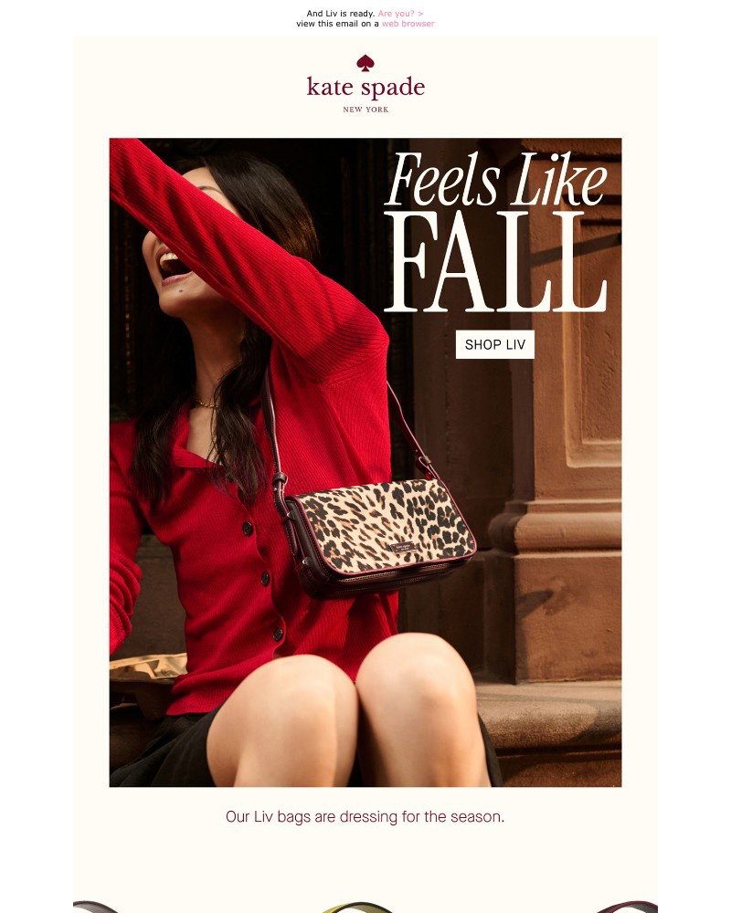 Screenshot of email with subject /media/emails/fall-is-in-the-air-17aaae-cropped-8a77c541.jpg