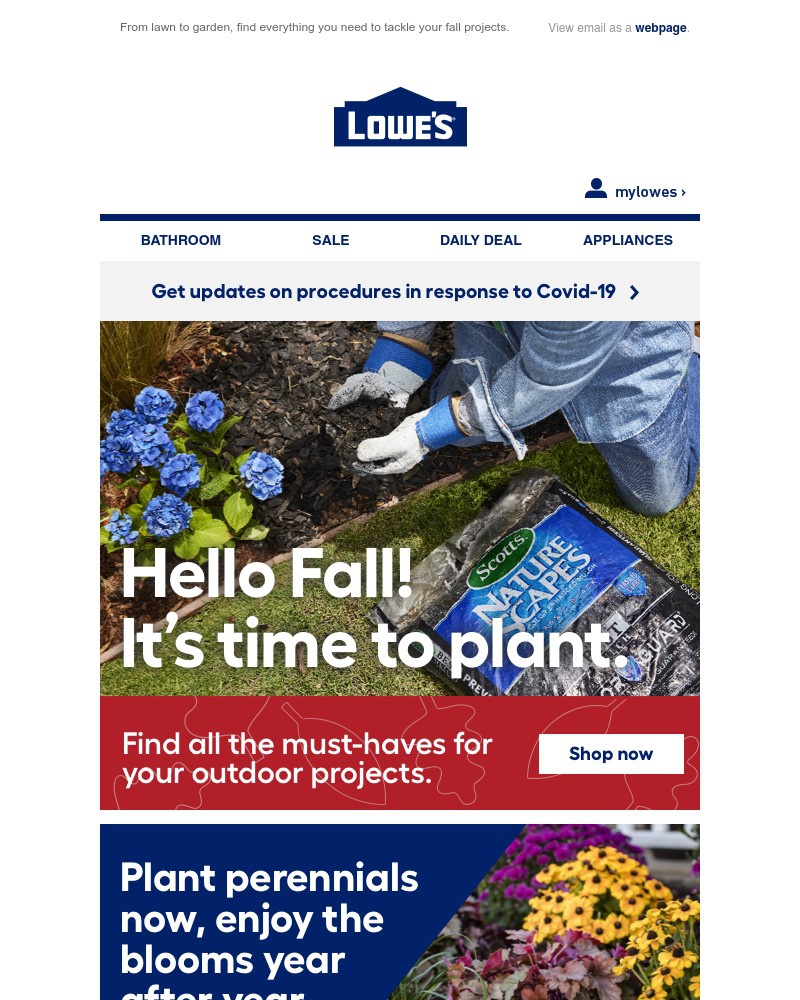 Screenshot of email with subject /media/emails/fall-planting-is-in-full-swing-3b401a-cropped-e96072cd.jpg