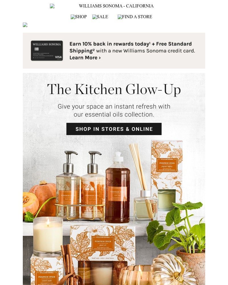 Screenshot of email with subject /media/emails/fall-refresh-starts-at-the-sink-d0a6ca-cropped-21c51c86.jpg