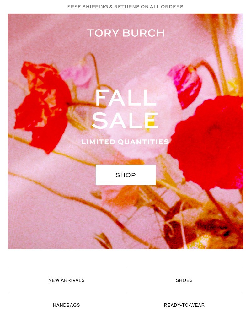 Screenshot of email with subject /media/emails/fall-sale-34a2d9-cropped-90a0c102.jpg