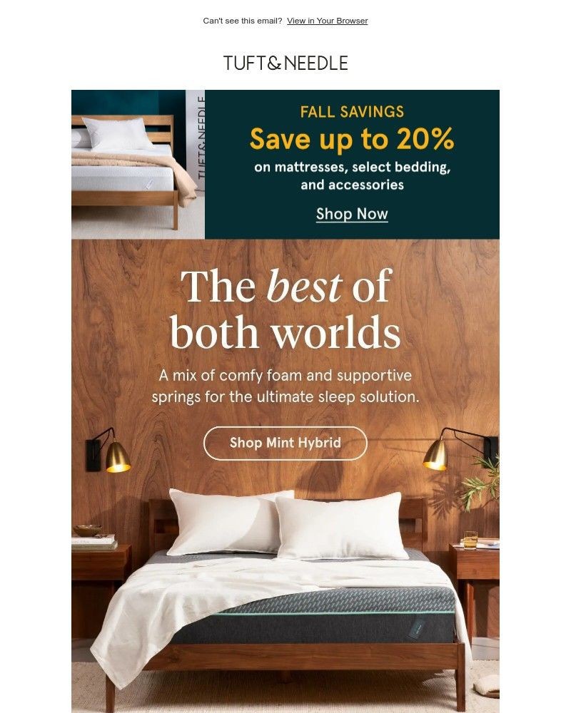 Screenshot of email with subject /media/emails/fall-sale-spotlight-mint-hybrid-519725-cropped-a247e85d.jpg