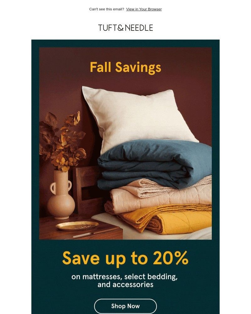 Screenshot of email with subject /media/emails/fall-sale-starts-today-415bb6-cropped-5e03269f.jpg