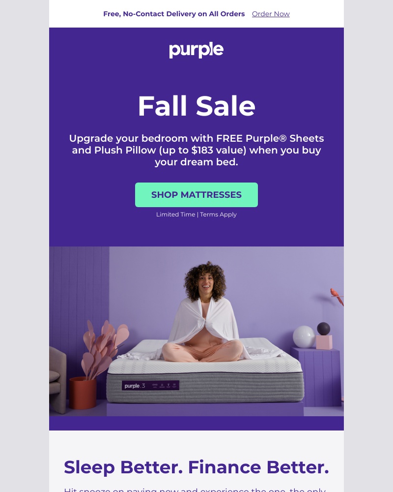 Screenshot of email with subject /media/emails/fall-sale-upgrade-your-bedroom-now-with-budget-friendly-financing-44f848-cropped-0c4ebbd1.jpg