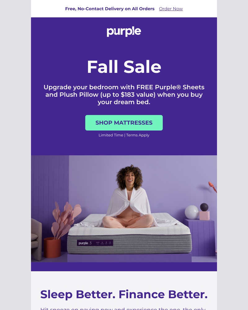 Screenshot of email with subject /media/emails/fall-sale-upgrade-your-bedroom-now-with-budget-friendly-financing-f21c69-cropped-fd3e867f.jpg
