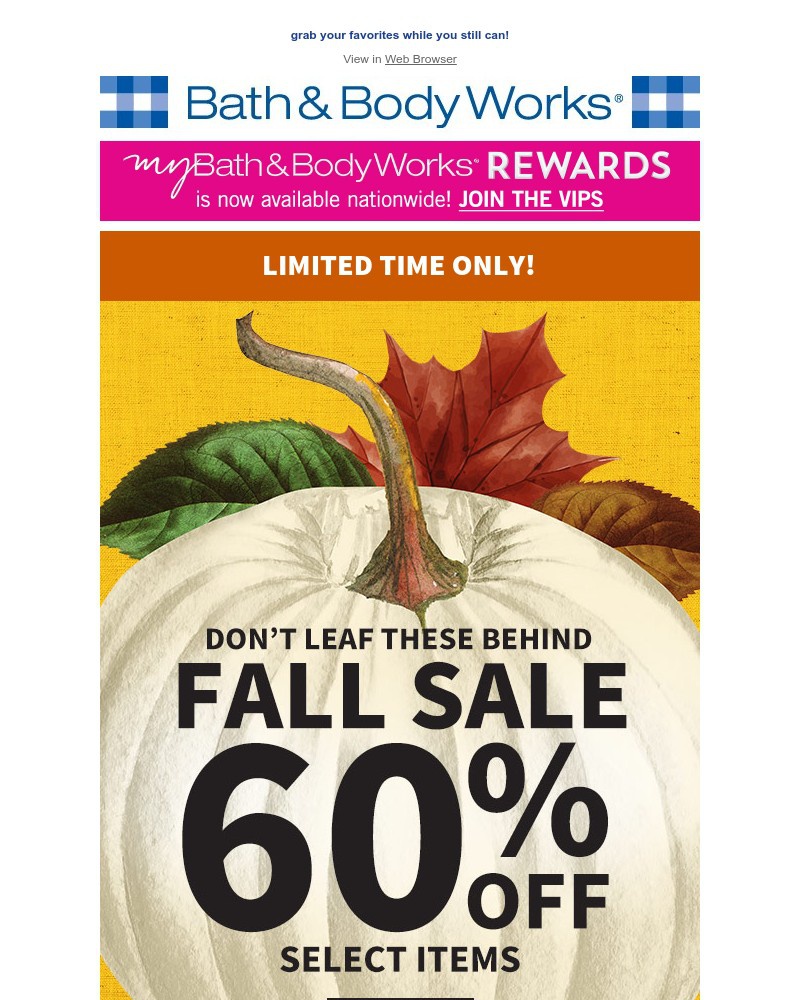 Screenshot of email with subject /media/emails/fall-sales-60-off-wont-last-much-longer-876e80-cropped-24663f52.jpg