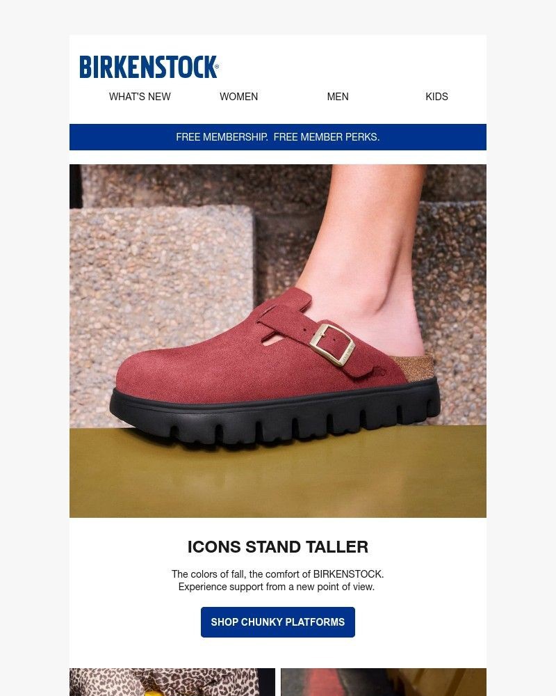 Screenshot of email with subject /media/emails/fall-tones-chunky-platforms-a-new-perspective-ffaf5a-cropped-3430b924.jpg